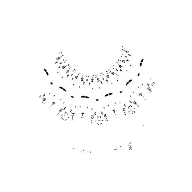 Soyut tek renkli arkaplan. Siyah ve beyaz vektör çizimi   