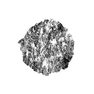 Beyaz arkaplanda soyut grunge fırça darbesi 