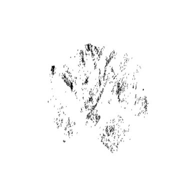 Beyaz arkaplanda soyut grunge fırça darbesi 