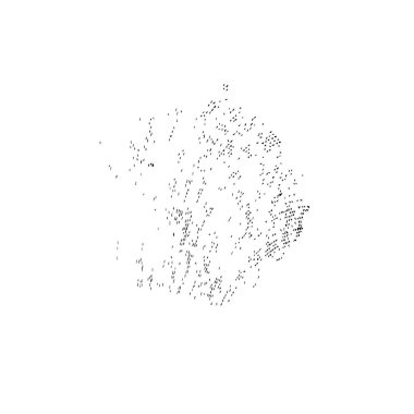 siyah mürekkep fırçası darbesi beyaz arkaplanda izole edildi