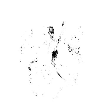 siyah mürekkep fırçası darbesi beyaz arkaplanda izole edildi