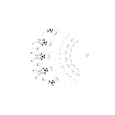 Beyaz arka planda siyah mürekkep fırça sıyrık