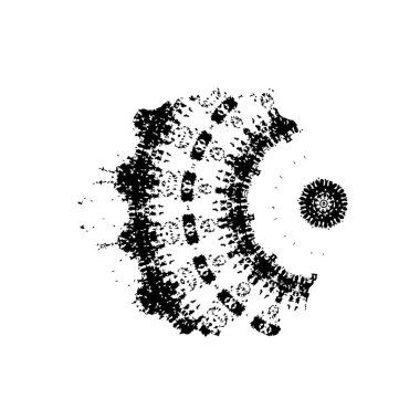 Grunge dokusu. siyah ve beyaz kaba arkaplan. 