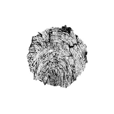 Grunge dokusu. siyah ve beyaz kaba arkaplan. 