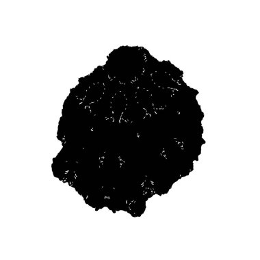 Grunge dokusu. siyah ve beyaz kaba arkaplan. 