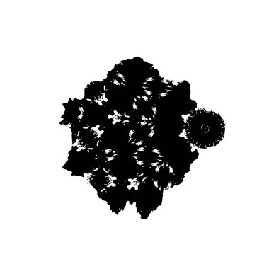 Grunge dokusu. siyah ve beyaz kaba arkaplan. 