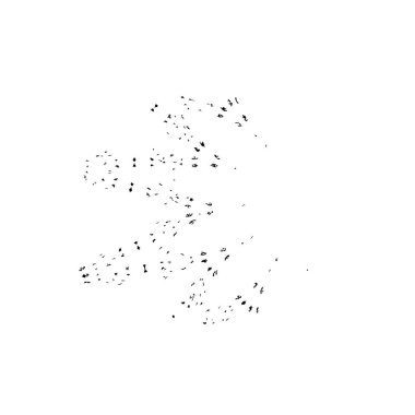 Grunge dokusu. siyah ve beyaz kaba arkaplan. 