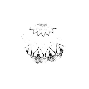 Grunge dokusu. siyah ve beyaz kaba arkaplan. 