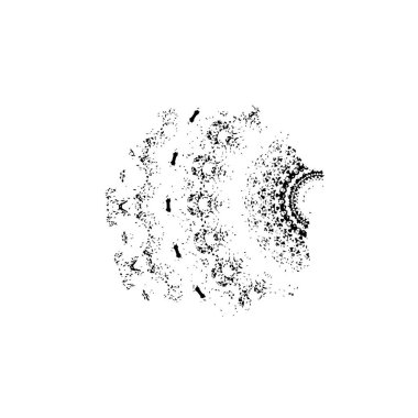 Grunge dokusu. siyah ve beyaz kaba arkaplan. 