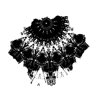 siyah ve beyaz monokrom arkaplan soyut doku 