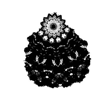 siyah ve beyaz monokrom yıpranmış arka plan soyut dokusu 