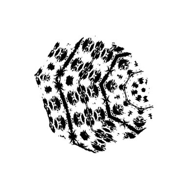 siyah ve beyaz monokrom yıpranmış arka plan soyut dokusu 