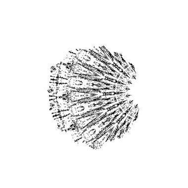 siyah ve beyaz monokrom yıpranmış arka plan soyut dokusu 