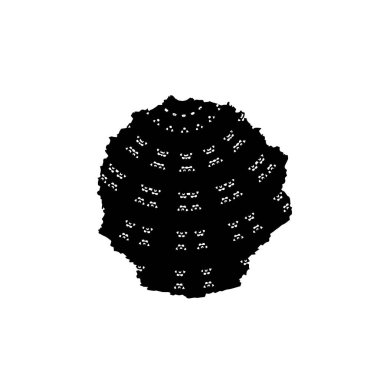 Grunge dokuyu örtüyor. Soyut siyah beyaz arka plan. Tek renkli vintage yüzey        