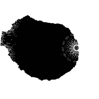 Grunge dokuyu örtüyor. Soyut siyah beyaz arka plan. Tek renkli vintage yüzey        