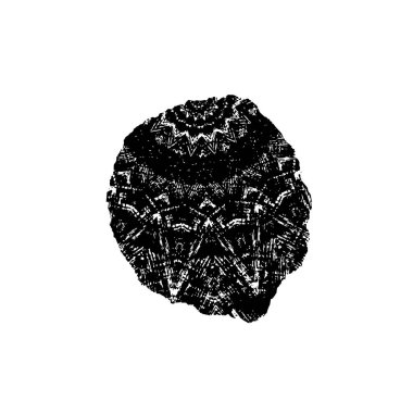 Grunge dokuyu örtüyor. Soyut siyah beyaz arka plan. Tek renkli vintage yüzey        