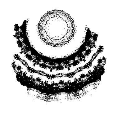 Soyut arkaplan. Monokrom dokusu. 