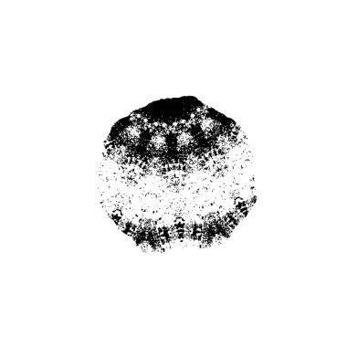 Soyut arkaplan. Monokrom dokusu. 