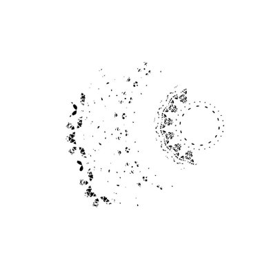 siyah beyaz monokrom eski grunge vintage yıpranmış arka plan