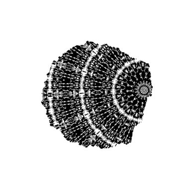 siyah beyaz monokrom eski grunge vintage yıpranmış arka plan