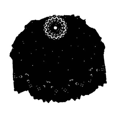 Soyut arkaplan. monokrom dokusu. Siyah beyaz arka plan. kalıp arkaplanı 