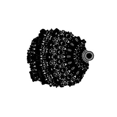 Soyut arkaplan. monokrom dokusu. Siyah beyaz arka plan. kalıp arkaplanı 
