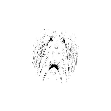 Soyut arkaplan. monokrom dokusu. Siyah beyaz arka plan. kalıp arkaplanı 