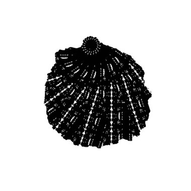 siyah ve beyaz monokrom yıpranmış arka plan soyut dokusu 