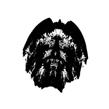 siyah ve beyaz monokrom yıpranmış arka plan soyut dokusu 