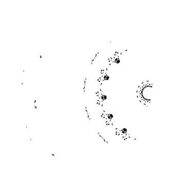 Soyut grunge arkaplanı. Monokrom dokusu. Siyah ve beyaz desenli arkaplan