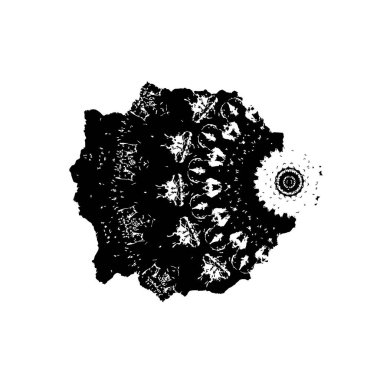 Grunge dokusu. siyah ve beyaz kaba arkaplan. 