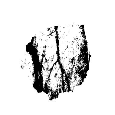  beyaz arkaplanda mürekkep fırçası darbesi