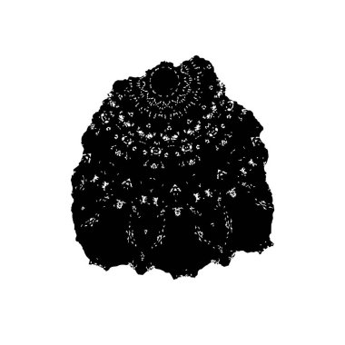 grunge siyah fırça darbesi