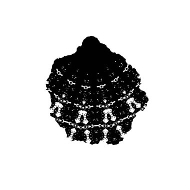 Soyut tek renkli arkaplan. Siyah ve beyaz vektör çizimi   