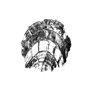 beyaz arka planda yalıtılmış siyah fırça darbesi