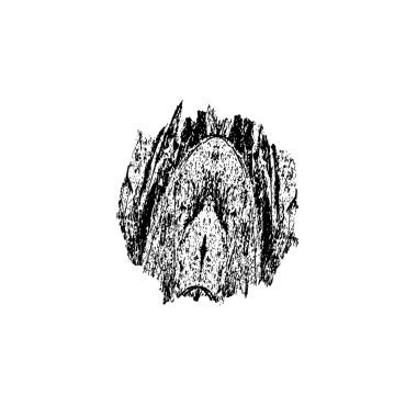 beyaz arka planda yalıtılmış siyah fırça darbesi