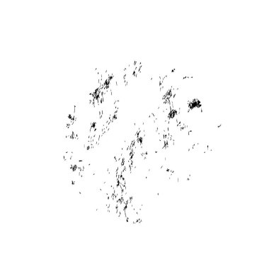 beyaz arka planda yalıtılmış siyah fırça darbesi