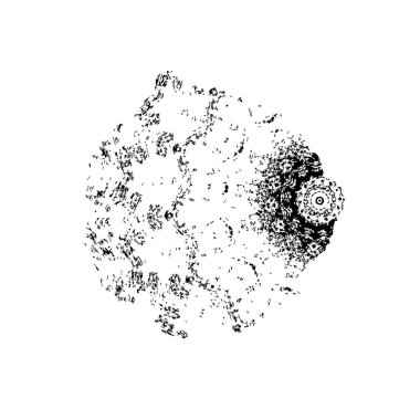 Beyaz arka planda siyah fırça darbesi