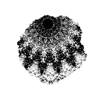 Beyaz arka planda siyah fırça darbesi