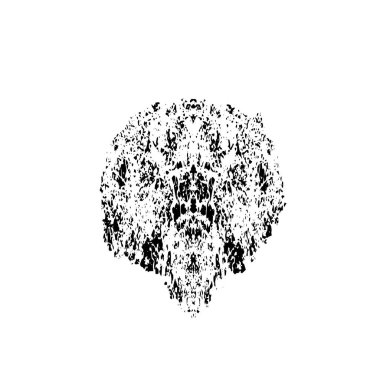 Beyaz arka planda siyah fırça darbesi