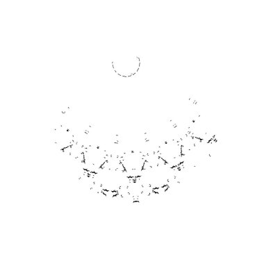 Beyaz arkaplanda soyut siyah fırça darbesi