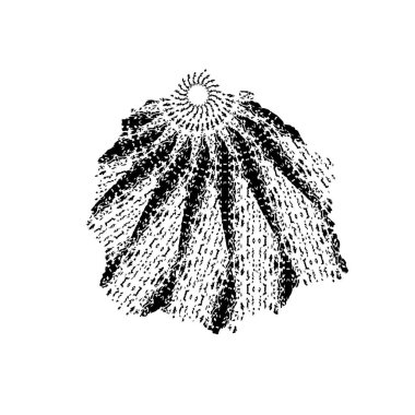 Beyaz arkaplanda soyut siyah fırça darbesi