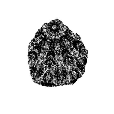 Beyaz arkaplanda soyut siyah fırça darbesi