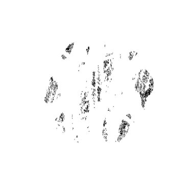 Beyaz arkaplanda soyut siyah fırça darbesi