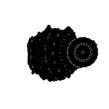 Beyaz arkaplanda soyut siyah fırça darbesi