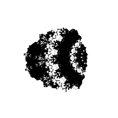 Beyaz arkaplanda soyut siyah fırça darbesi