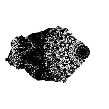 Beyaz arkaplanda soyut siyah fırça darbesi