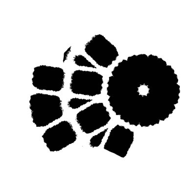 Beyaz arkaplanda soyut siyah fırça darbesi