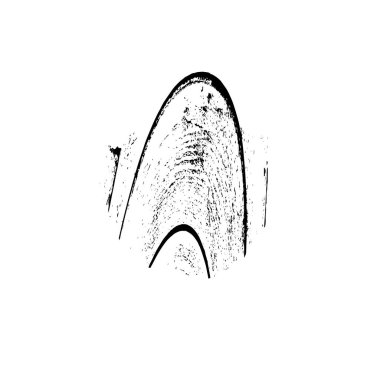Beyaz arkaplanda soyut siyah fırça darbesi
