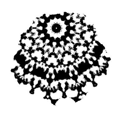 Beyaz arkaplanda soyut siyah fırça darbesi